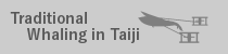 Nav his taiji en