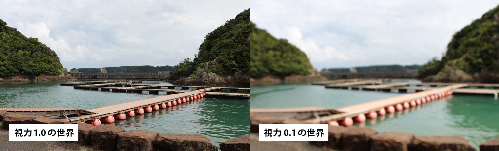 Site eco mirukiku 02