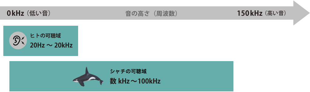 Site eco mirukiku 05